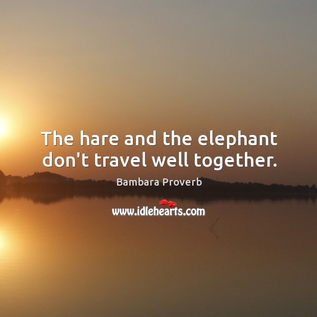 The hare and the elephant don’t travel well together. Bambara Proverbs Image