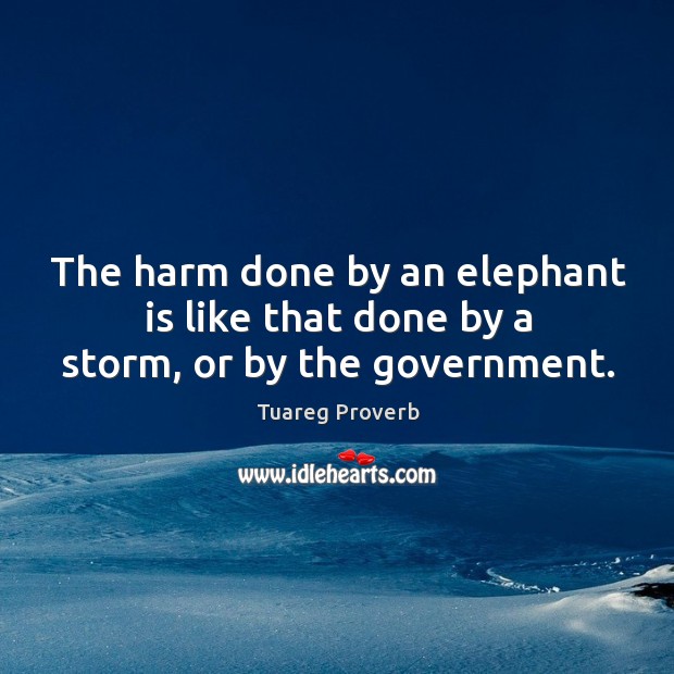 The harm done by an elephant is like that done by a storm, or by the government. Tuareg Proverbs Image