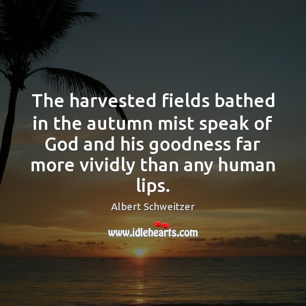 The harvested fields bathed in the autumn mist speak of God and Albert Schweitzer Picture Quote
