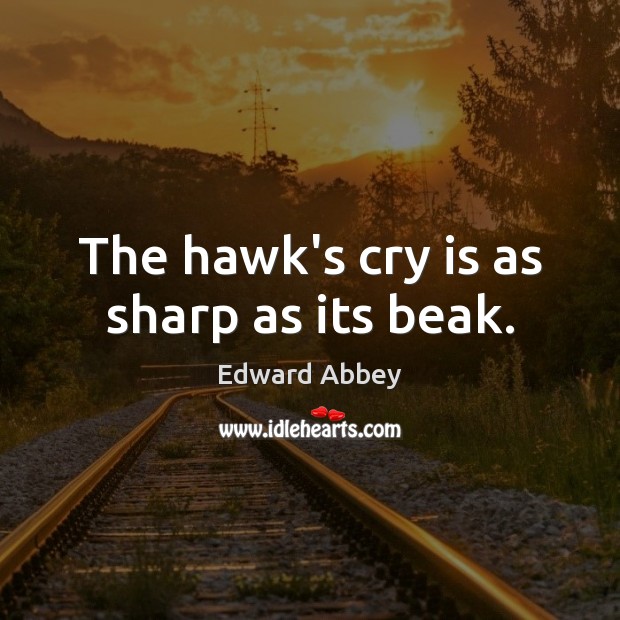 The hawk’s cry is as sharp as its beak. Edward Abbey Picture Quote