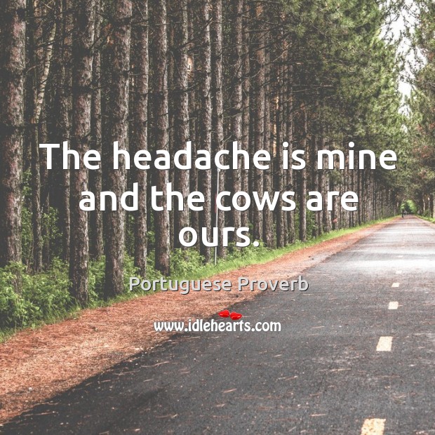 The headache is mine and the cows are ours. Image