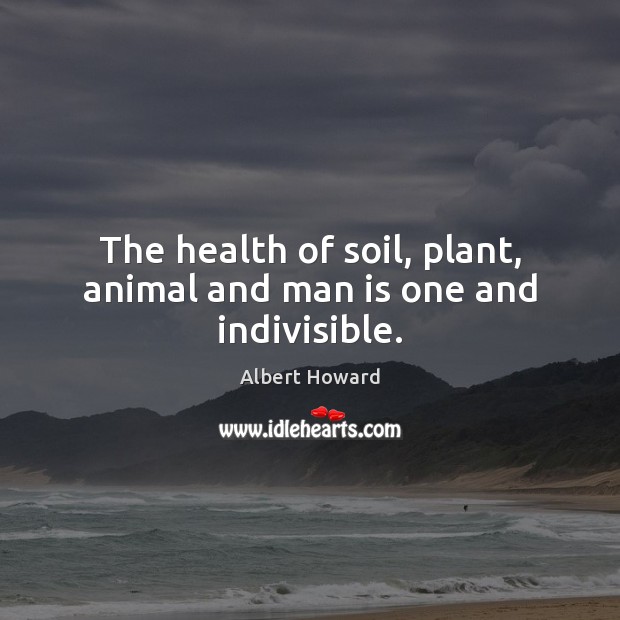 The health of soil, plant, animal and man is one and indivisible. Albert Howard Picture Quote