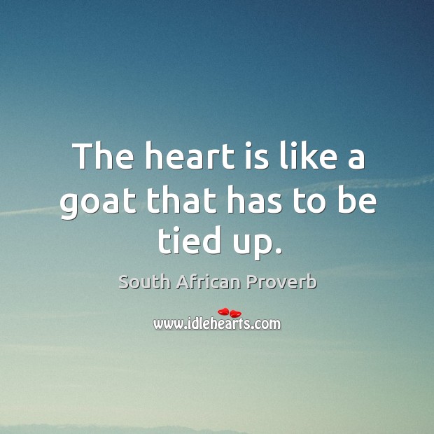 The heart is like a goat that has to be tied up. South African Proverbs Image