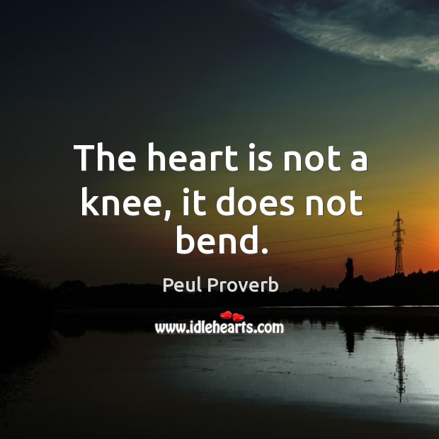 The heart is not a knee, it does not bend. Peul Proverbs Image