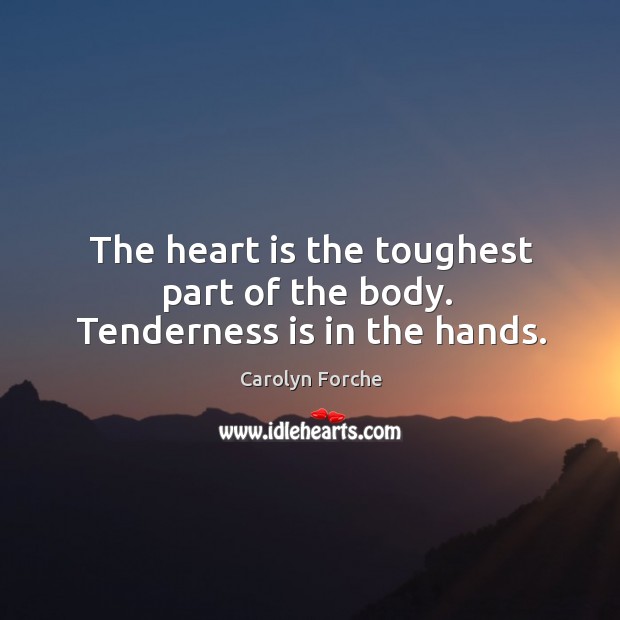 The heart is the toughest part of the body.  Tenderness is in the hands. Carolyn Forche Picture Quote