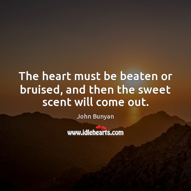 The heart must be beaten or bruised, and then the sweet scent will come out. John Bunyan Picture Quote