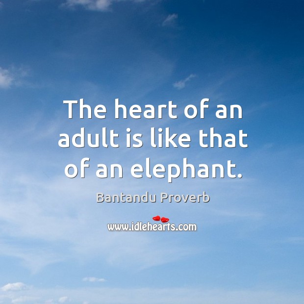 The heart of an adult is like that of an elephant. Bantandu Proverbs Image