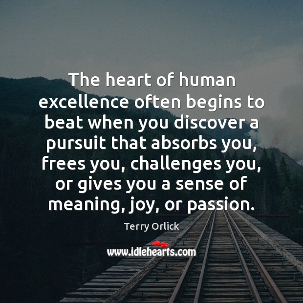 The heart of human excellence often begins to beat when you discover Terry Orlick Picture Quote