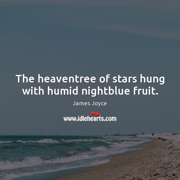 The heaventree of stars hung with humid nightblue fruit. James Joyce Picture Quote