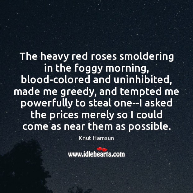 The heavy red roses smoldering in the foggy morning, blood-colored and uninhibited, Knut Hamsun Picture Quote