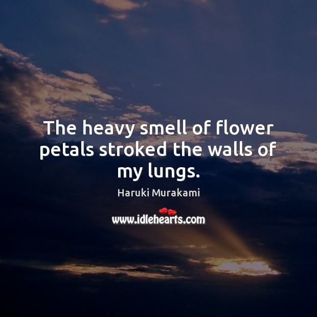 The heavy smell of flower petals stroked the walls of my lungs. Haruki Murakami Picture Quote