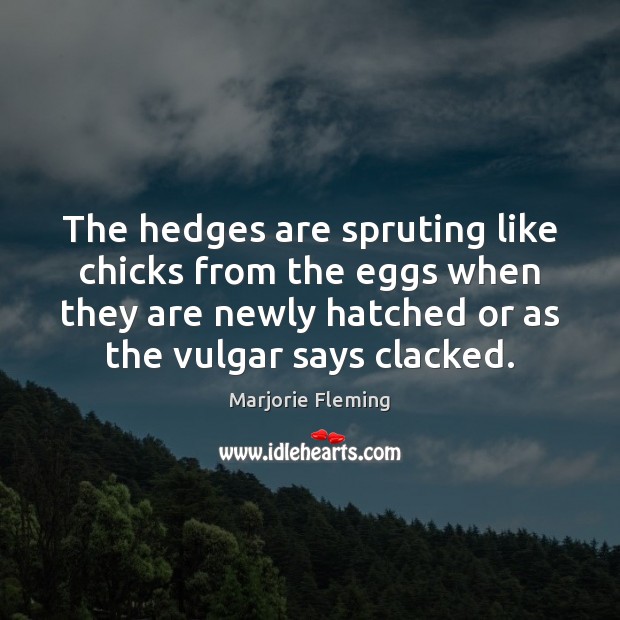 The hedges are spruting like chicks from the eggs when they are Marjorie Fleming Picture Quote