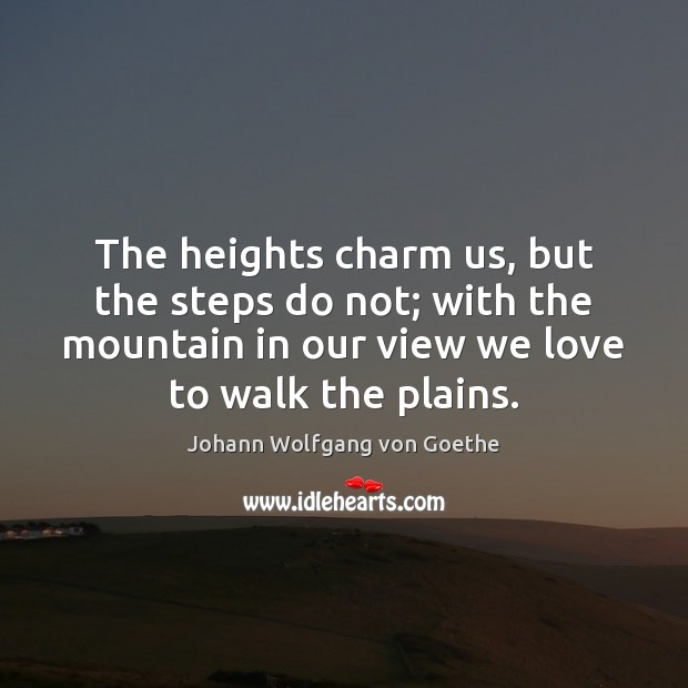 The heights charm us, but the steps do not; with the mountain Johann Wolfgang von Goethe Picture Quote