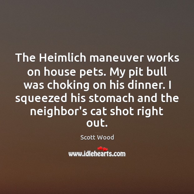 The Heimlich maneuver works on house pets. My pit bull was choking Scott Wood Picture Quote