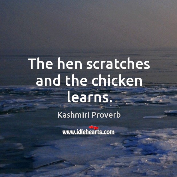 The hen scratches and the chicken learns. Kashmiri Proverbs Image