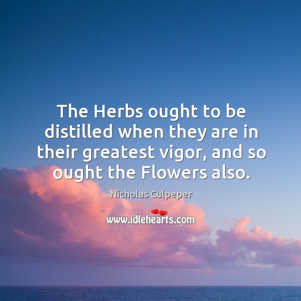 The herbs ought to be distilled when they are in their greatest vigor, and so ought the flowers also. Nicholas Culpeper Picture Quote