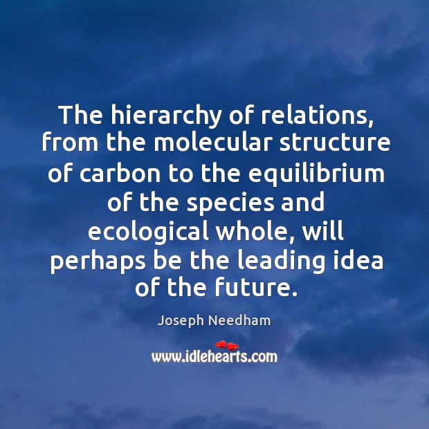 The hierarchy of relations, from the molecular structure of carbon Joseph Needham Picture Quote