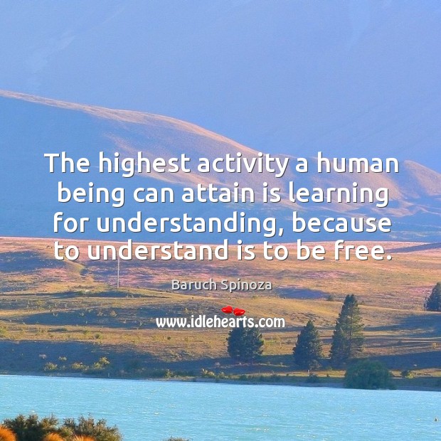 The highest activity a human being can attain is learning for understanding, because Baruch Spinoza Picture Quote