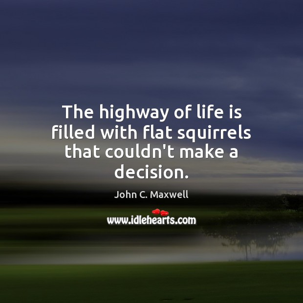 The highway of life is filled with flat squirrels that couldn’t make a decision. John C. Maxwell Picture Quote