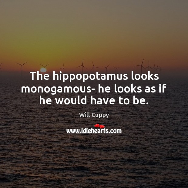 The hippopotamus looks monogamous- he looks as if he would have to be. Image