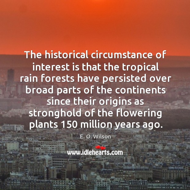 The historical circumstance of interest is that the tropical rain forests have persisted Image