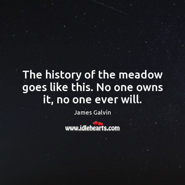 The history of the meadow goes like this. No one owns it, no one ever will. James Galvin Picture Quote