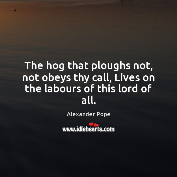 The hog that ploughs not, not obeys thy call, Lives on the labours of this lord of all. Alexander Pope Picture Quote