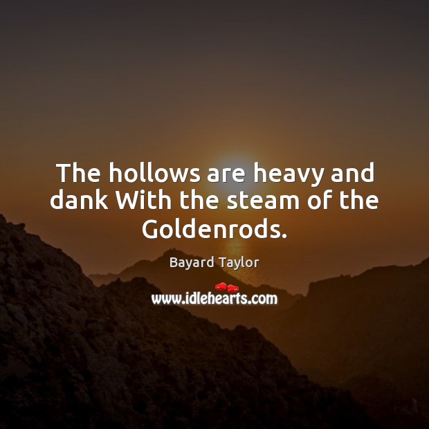 The hollows are heavy and dank With the steam of the Goldenrods. Bayard Taylor Picture Quote