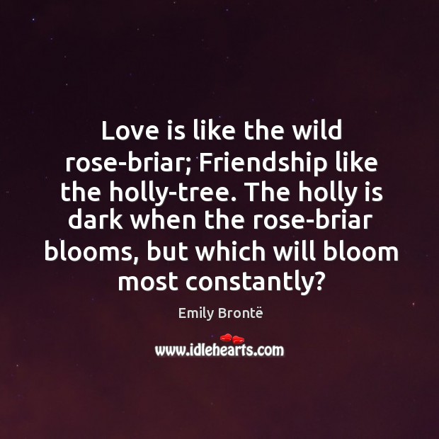 The holly is dark when the rose-briar blooms, but which will bloom most constantly? Image