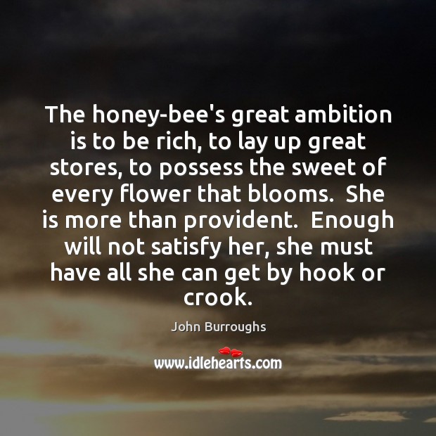 The honey-bee’s great ambition is to be rich, to lay up great John Burroughs Picture Quote