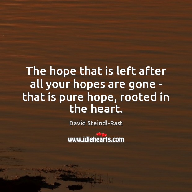 The hope that is left after all your hopes are gone – David Steindl-Rast Picture Quote