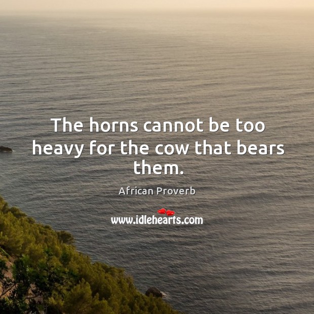 The horns cannot be too heavy for the cow that bears them. African Proverbs Image