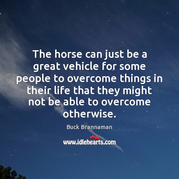 The horse can just be a great vehicle for some people to 