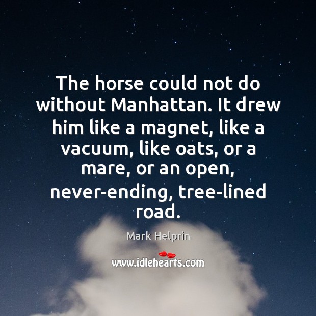 The horse could not do without Manhattan. It drew him like a Image