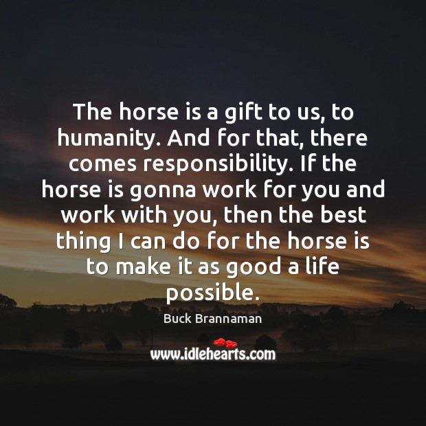 The horse is a gift to us, to humanity. And for that, Buck Brannaman Picture Quote