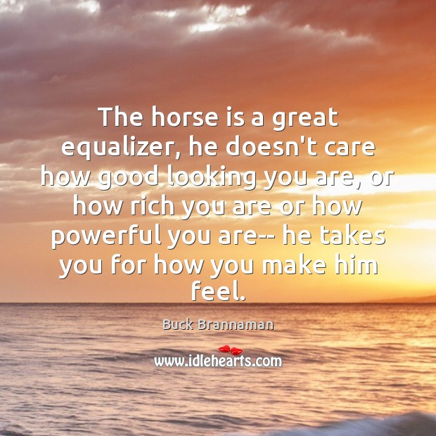 The horse is a great equalizer, he doesn’t care how good looking Buck Brannaman Picture Quote