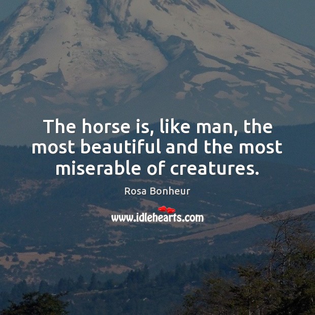 The horse is, like man, the most beautiful and the most miserable of creatures. Rosa Bonheur Picture Quote