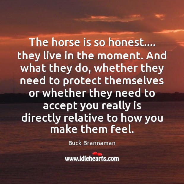 The horse is so honest…. they live in the moment. And what Buck Brannaman Picture Quote