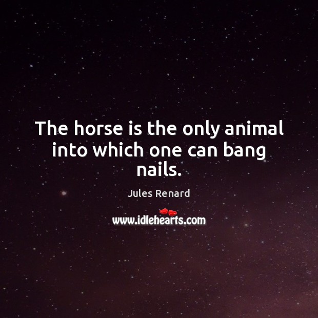 The horse is the only animal into which one can bang nails. Jules Renard Picture Quote