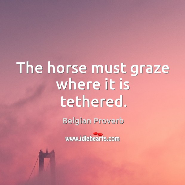 The horse must graze where it is tethered. Image