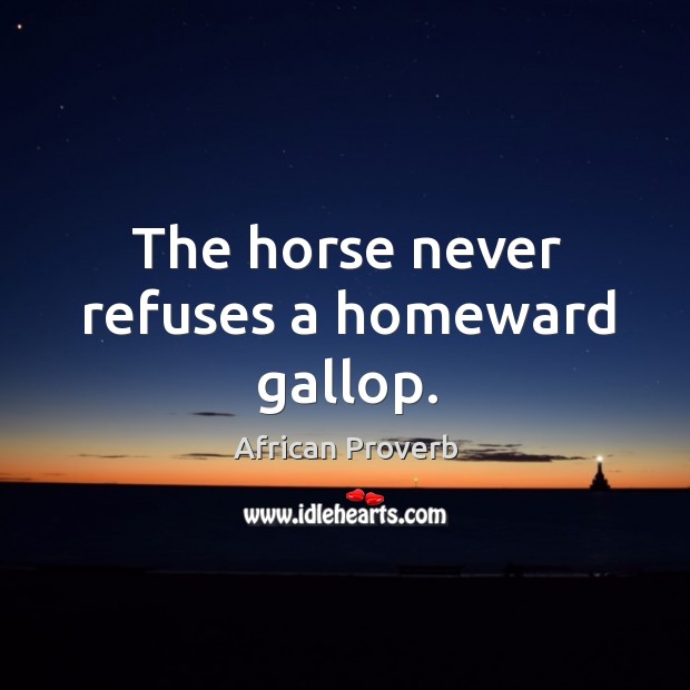 The horse never refuses a homeward gallop. African Proverbs Image
