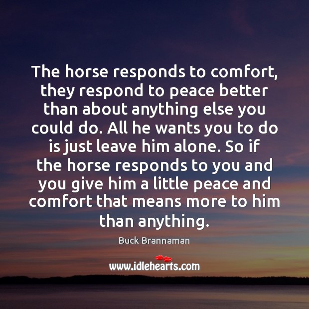 The horse responds to comfort, they respond to peace better than about Image