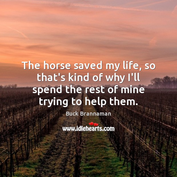 The horse saved my life, so that’s kind of why I’ll spend Buck Brannaman Picture Quote