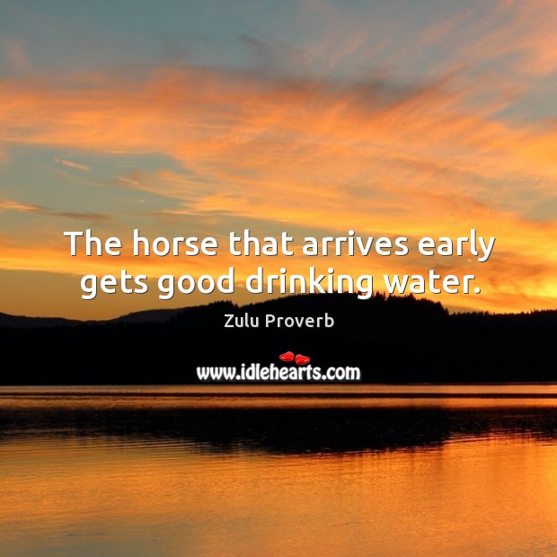 The horse that arrives early gets good drinking water. Zulu Proverbs Image