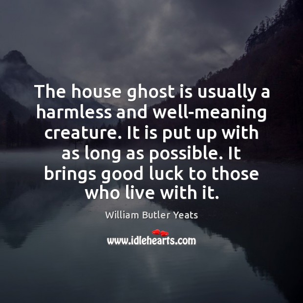 The house ghost is usually a harmless and well-meaning creature. It is Image
