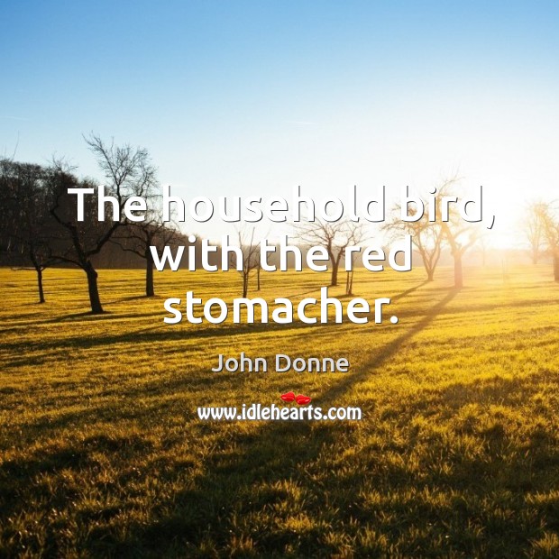 The household bird, with the red stomacher. John Donne Picture Quote