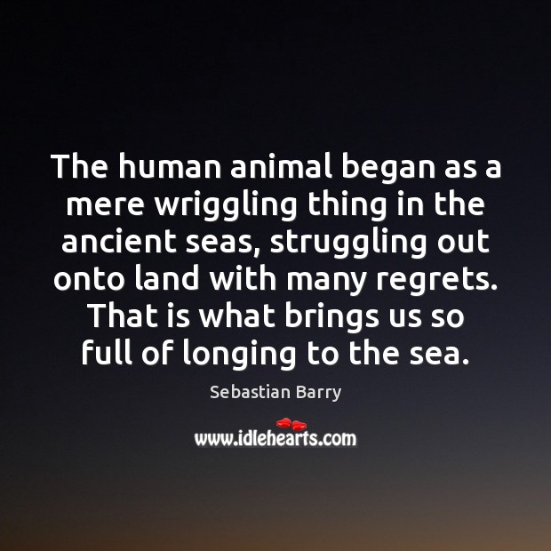 The human animal began as a mere wriggling thing in the ancient Sebastian Barry Picture Quote