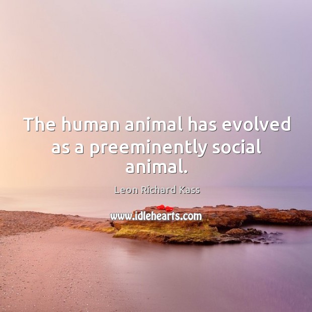 The human animal has evolved as a preeminently social animal. Leon Richard Kass Picture Quote