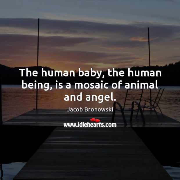 The human baby, the human being, is a mosaic of animal and angel. Jacob Bronowski Picture Quote
