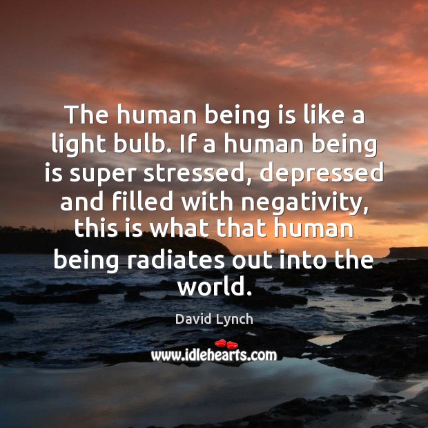 The human being is like a light bulb. If a human being David Lynch Picture Quote